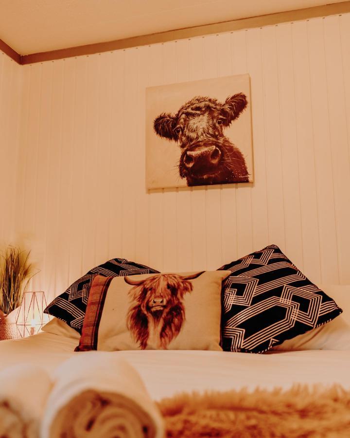 Wooden Cosy Retreat Hunters Quay Villa Dunoon Exteriör bild
